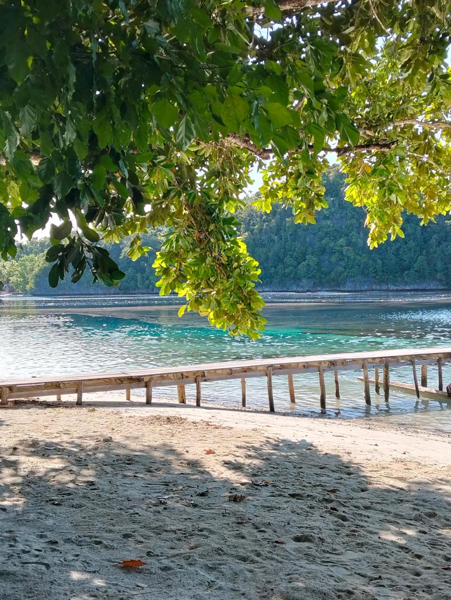 Meos Ambower Homestay Raja Ampat Fam Exterior photo