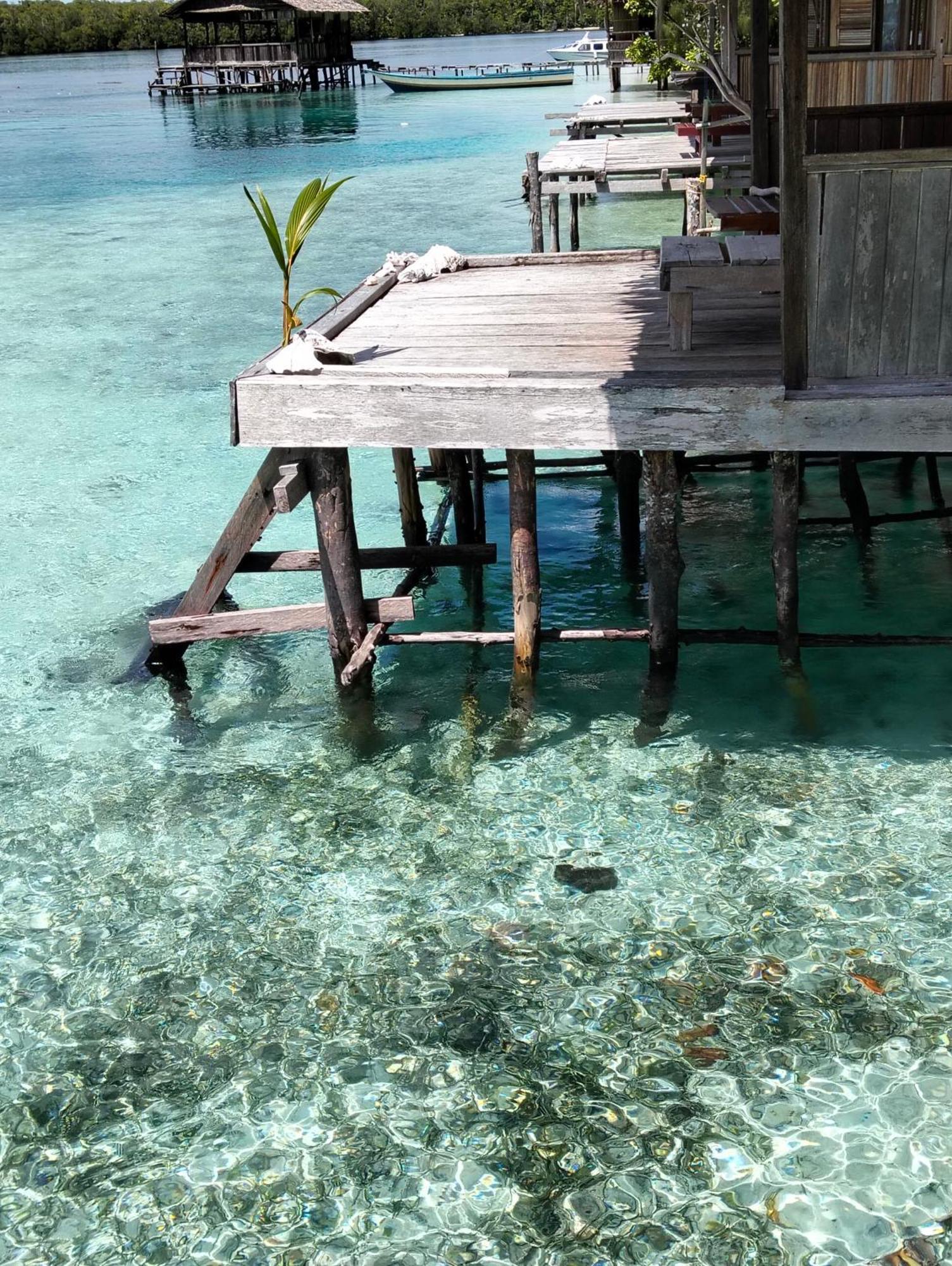 Meos Ambower Homestay Raja Ampat Fam Exterior photo